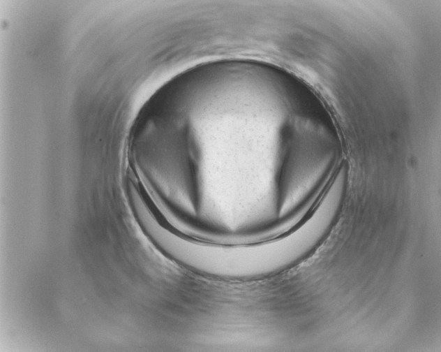 X0000088601520200706151748