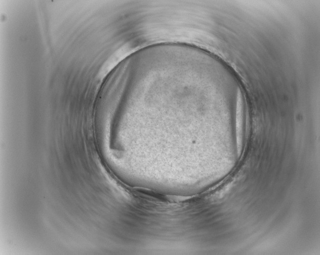 X0000088601521200706151748