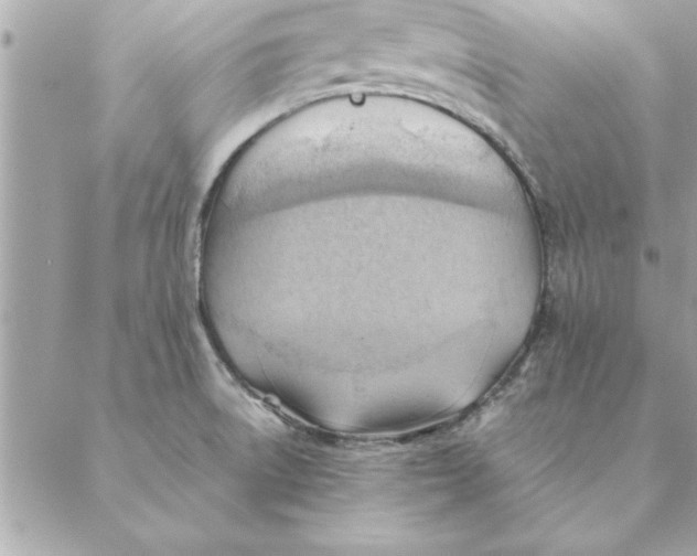 X0000088601522200706151748