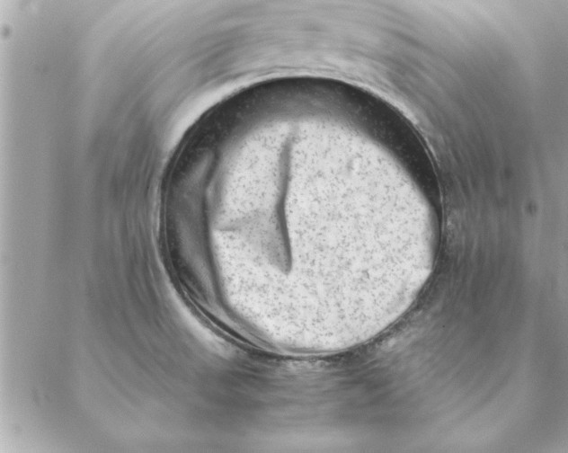 X0000088601523200706151748