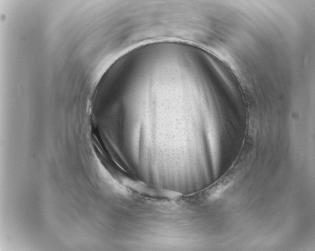 X0000088601524200706151748