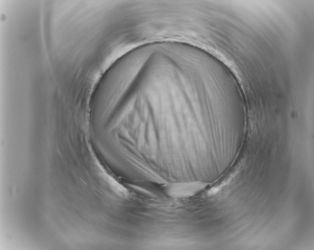 X0000088601525200706151748