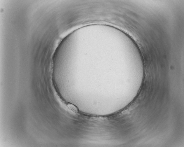 X0000088601526200706151748