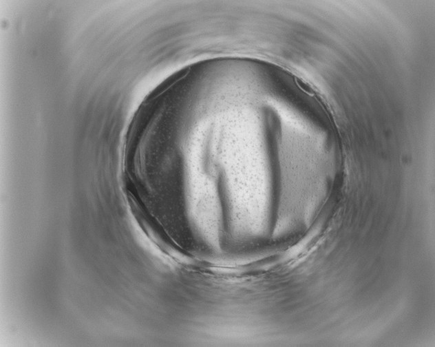 X0000088601528200706151749