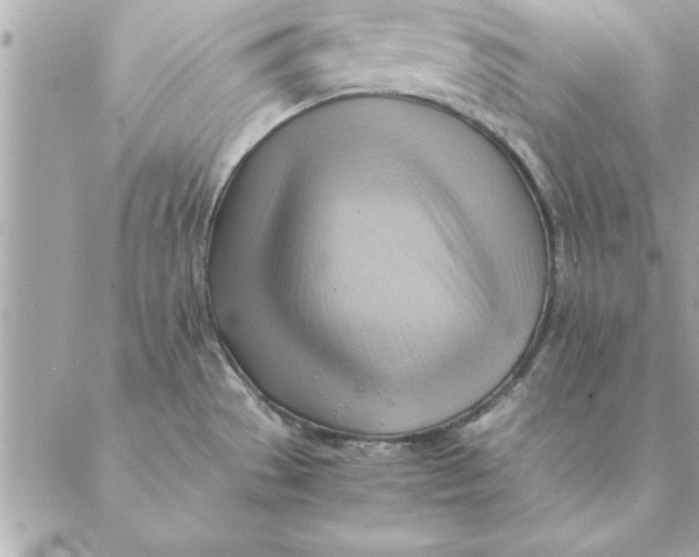 X0000088601529200706151749