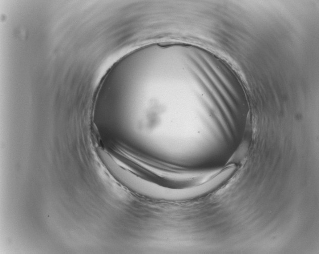 X0000088601530200706151749