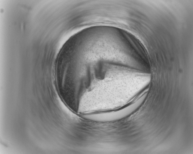 X0000088601531200706151749