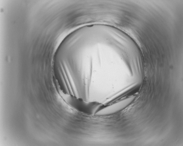 X0000088601532200706151749