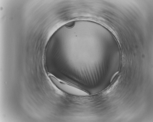 X0000088601533200706151749