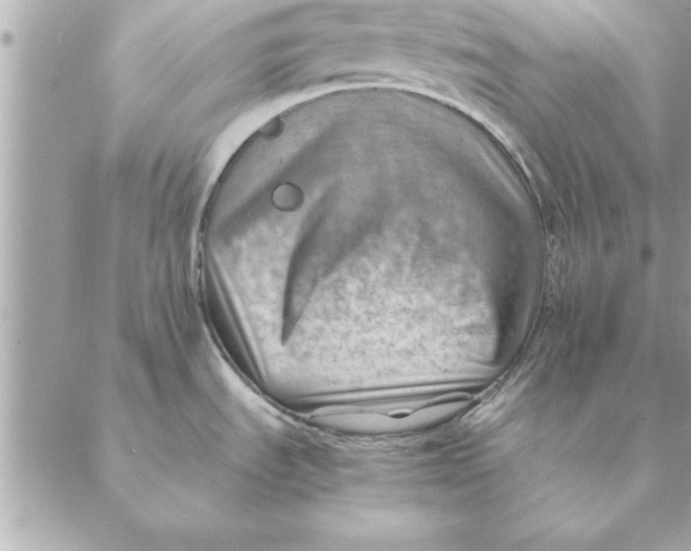 X0000088601535200706151749