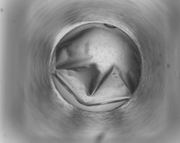 X0000088601536200706151749