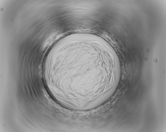 X0000088600002200706221417