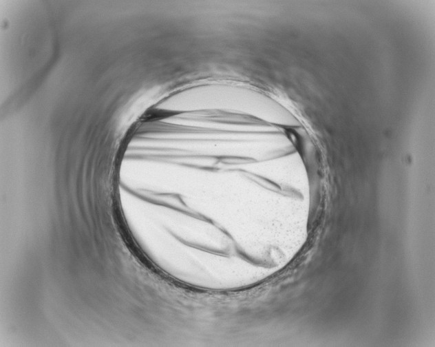 X0000088600007200706221417