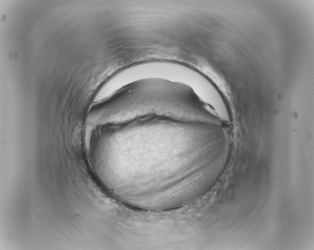 X0000088600009200706221417