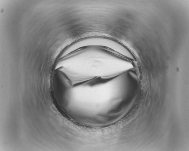 X0000088600015200706221417