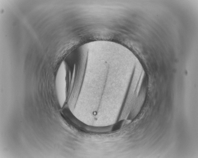 X0000088600017200706221417