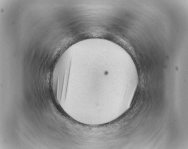 X0000088600018200706221417