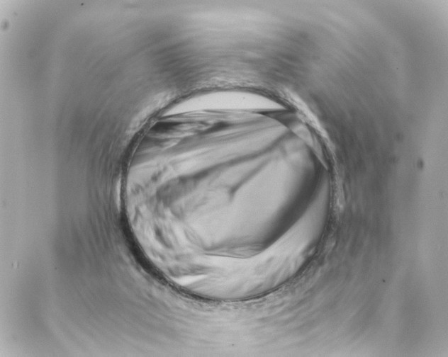 X0000088600019200706221417