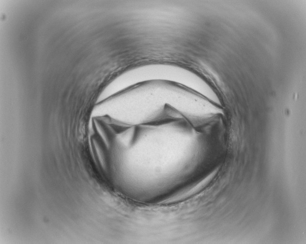 X0000088600025200706221417