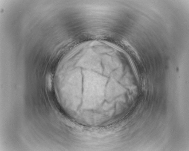 X0000088600026200706221417