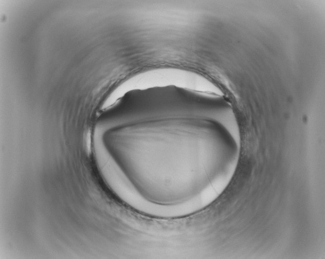 X0000088600027200706221417