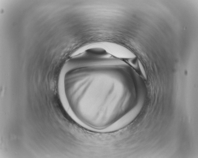 X0000088600031200706221417