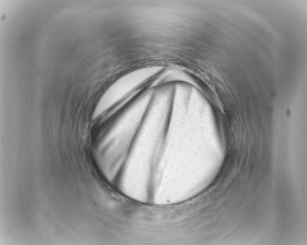 X0000088600033200706221417