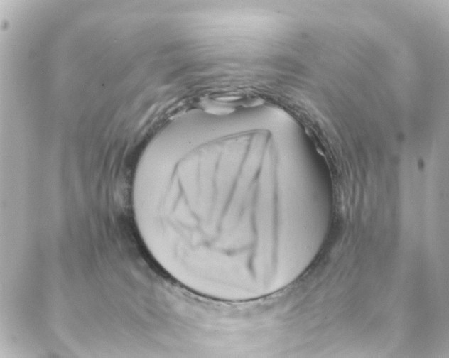 X0000088600035200706221417