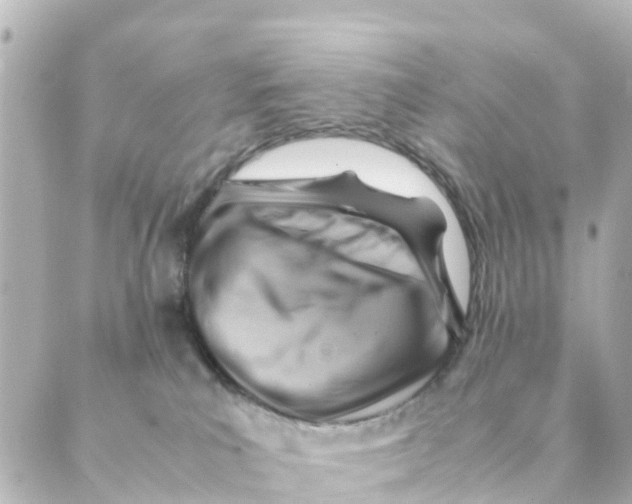 X0000088600039200706221417