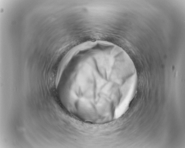 X0000088600043200706221417