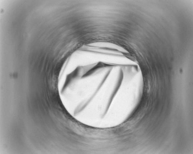 X0000088600044200706221417