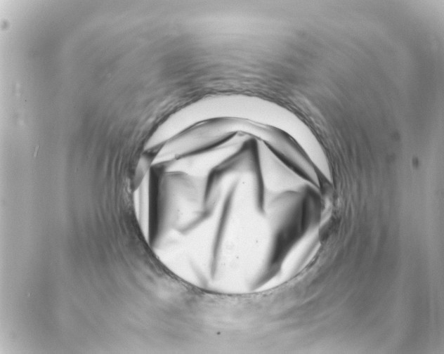 X0000088600045200706221417