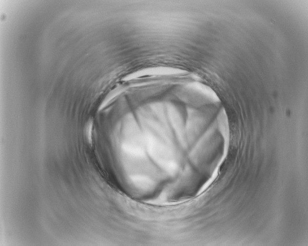 X0000088600047200706221416