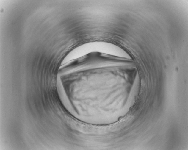 X0000088600048200706221416
