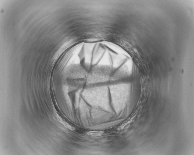 X0000088600051200706221416