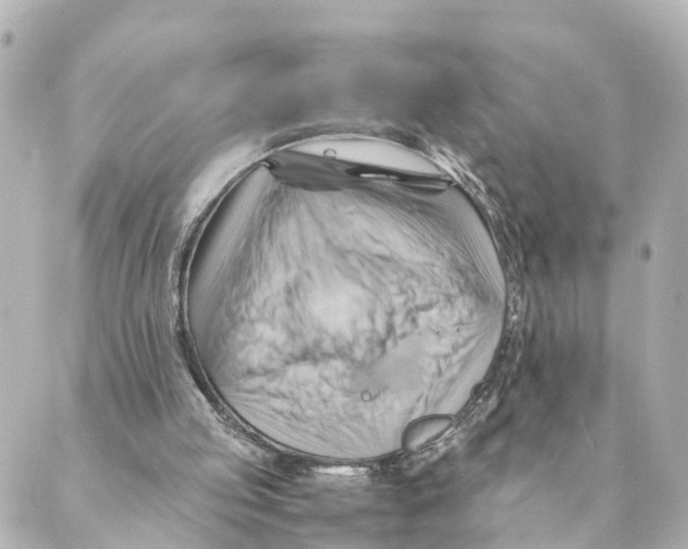 X0000088600053200706221416