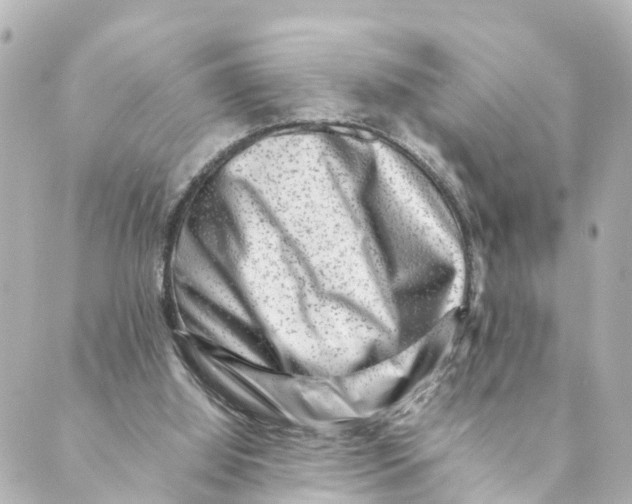 X0000088600060200706221416