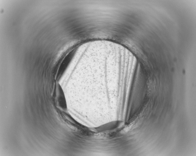 X0000088600064200706221416