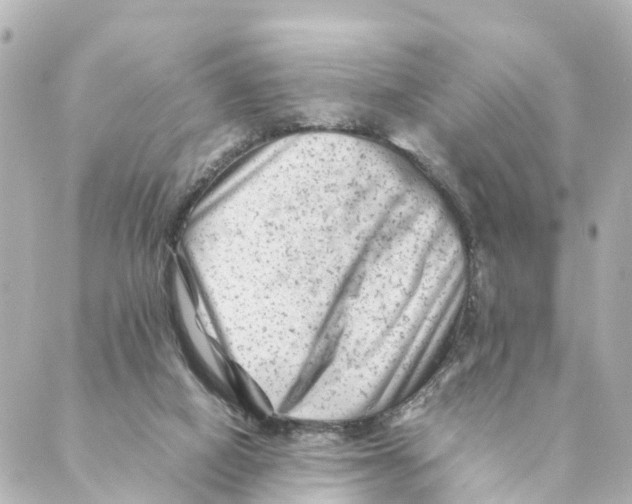 X0000088600066200706221416