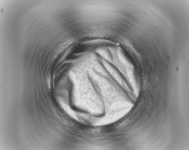 X0000088600068200706221416