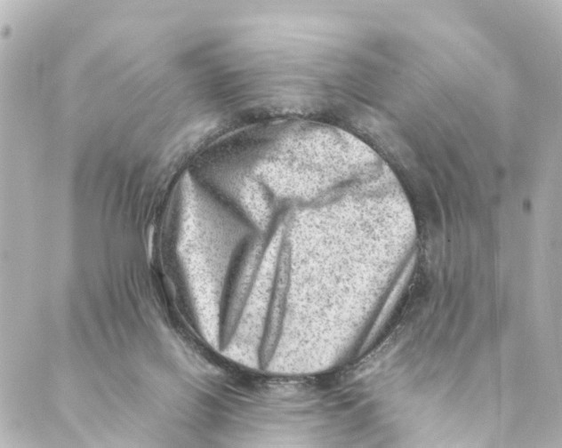 X0000088600070200706221416