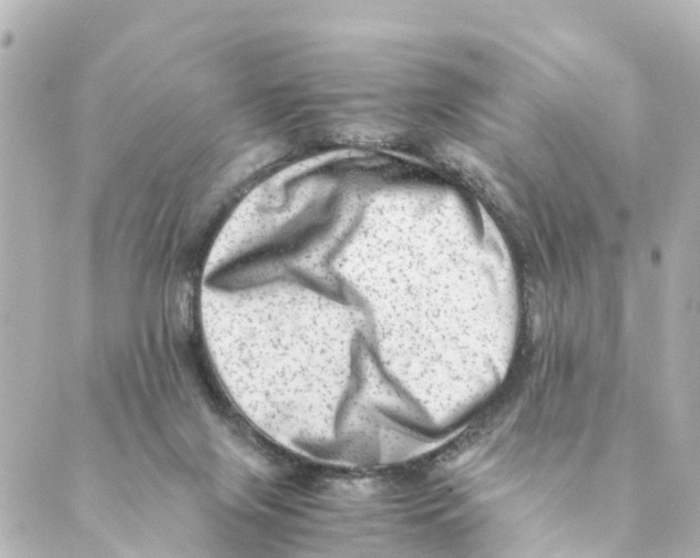 X0000088600071200706221416