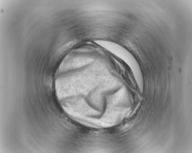 X0000088600072200706221416