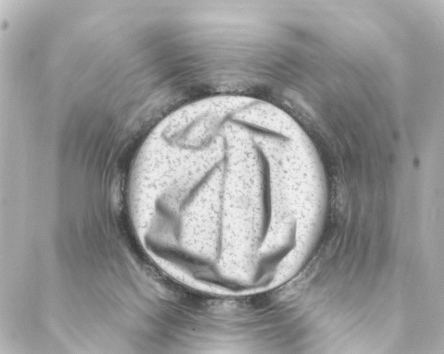 X0000088600074200706221416