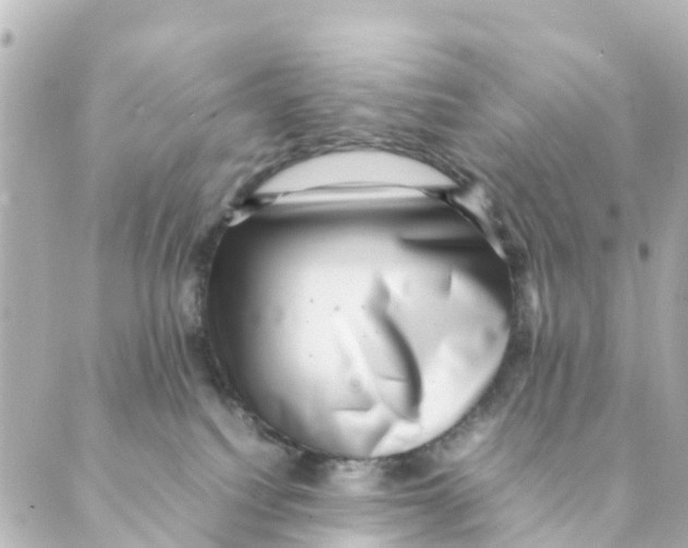 X0000088600088200706221416