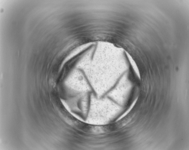 X0000088600091200706221416