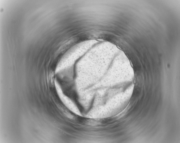 X0000088600094200706221416