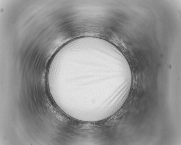 X0000088600098200706221416