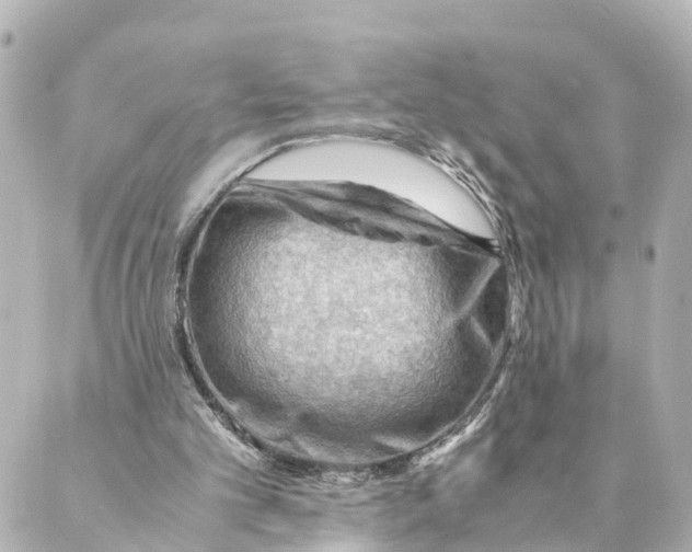 X0000088600101200706221416