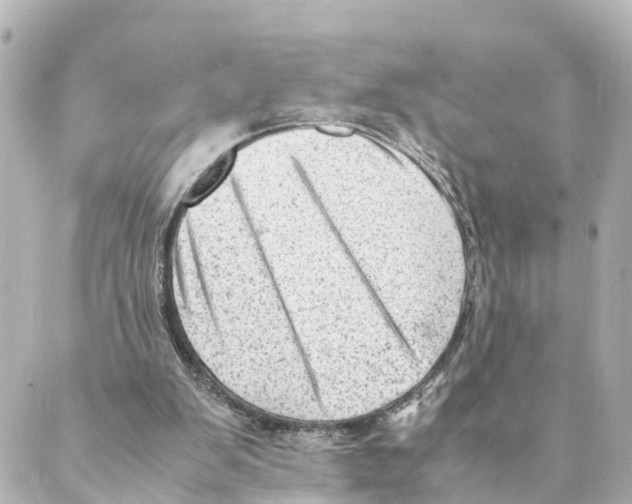 X0000088600103200706221416